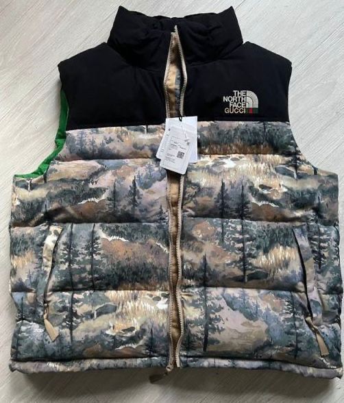 Жилетка The North Face Gucci